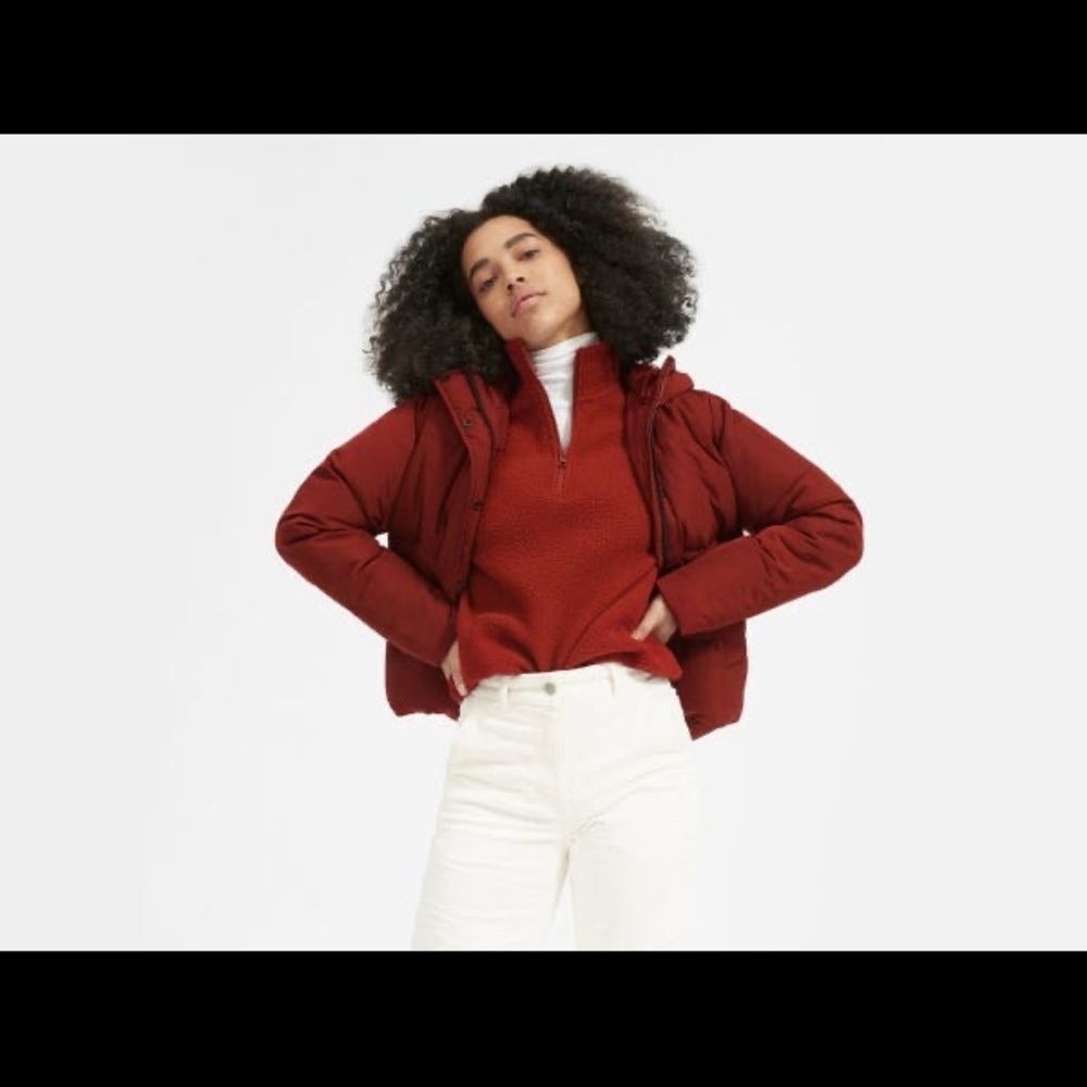 Everlane renew short parka puffer jacket